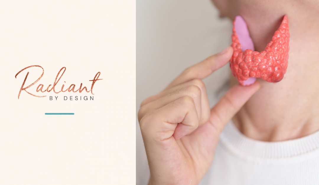 A woman's hand holds a pink and coral anatomical thyroid model against her neck.