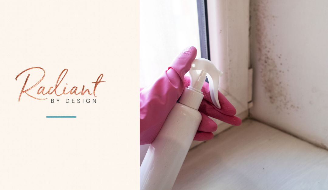 A pink-gloved hand holds a white spray bottle beside a window sill with dark mold spots on the wall.